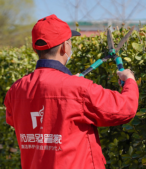 庭院養(yǎng)護(hù)圖片2