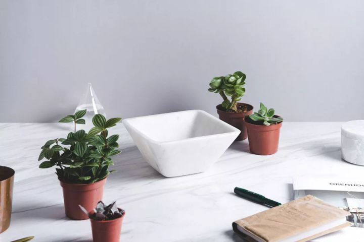 101007300393.jpg 20180421114608788.jpg