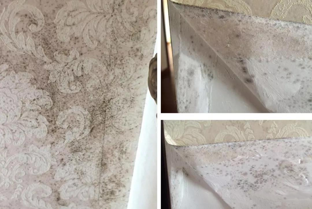 101034260864.jpg 101034260864.jpg