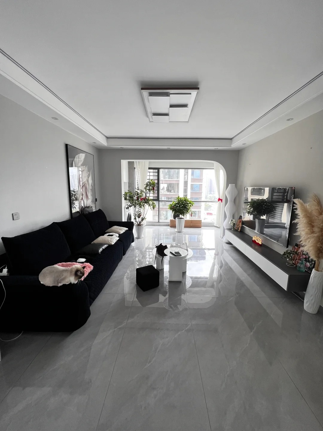 網(wǎng)紅翻車,室內設計