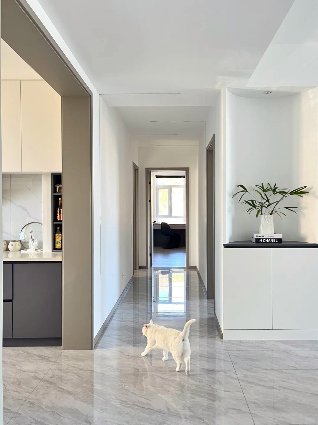 養(yǎng)寵裝修,寵物家庭裝修,養(yǎng)寵裝修選材